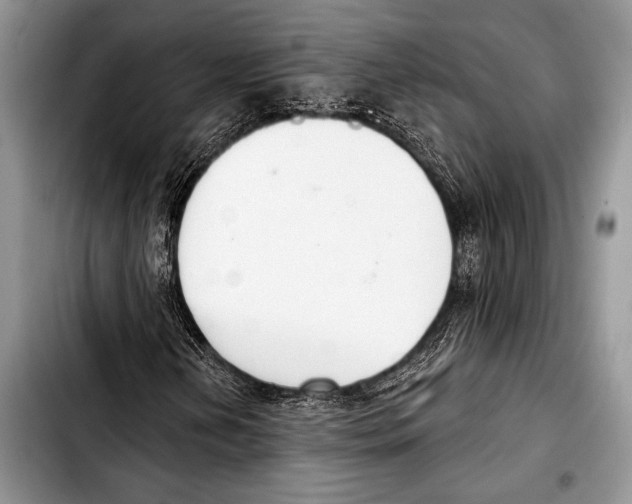 X0000103401202200810100926