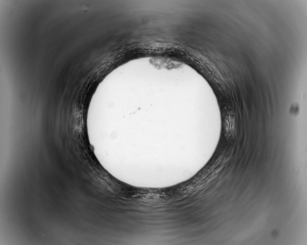 X0000103401204200810100926