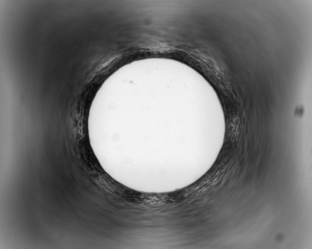 X0000103401205200810100926