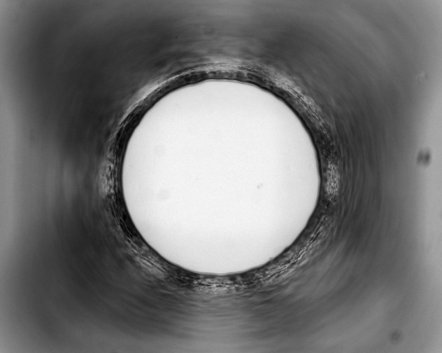 X0000103401208200810100926