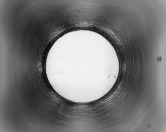 X0000103401209200810100926