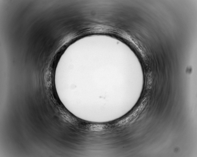 X0000103401211200810100926