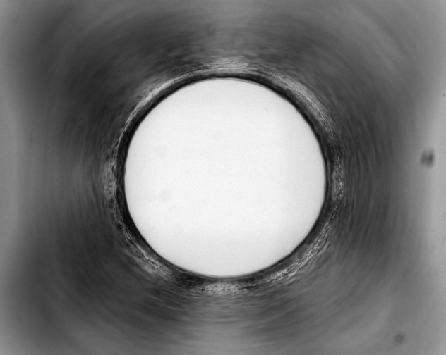 X0000103401212200810100926