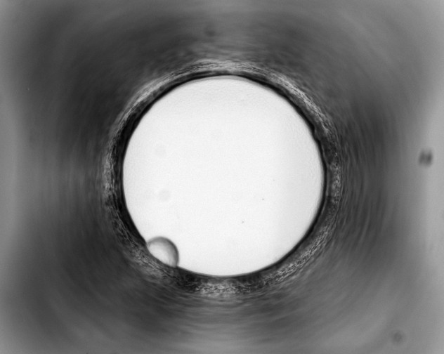 X0000103401215200810100926