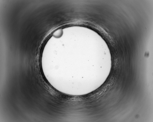 X0000103401216200810100926