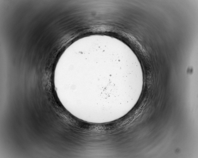 X0000103401217200810100926