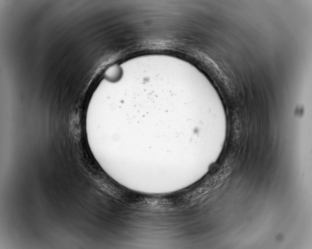 X0000103401218200810100926