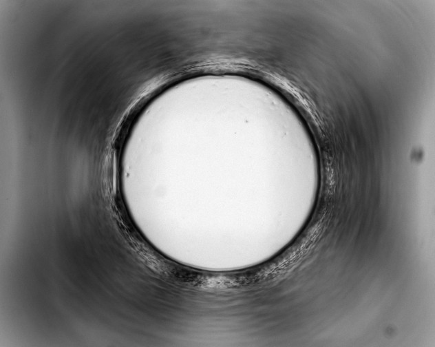 X0000103401219200810100926