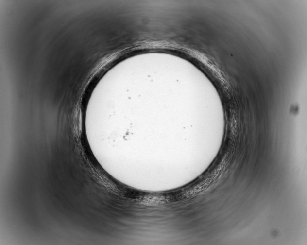 X0000103401221200810100926