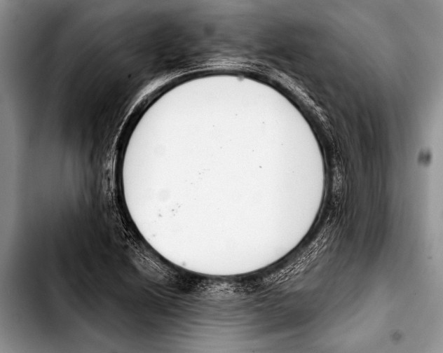 X0000103401222200810100926