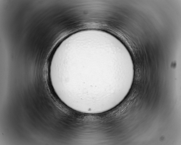 X0000103401227200810100926