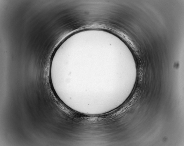 X0000103401228200810100926