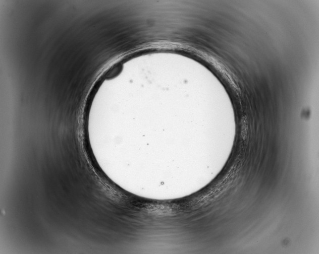 X0000103401229200810100926