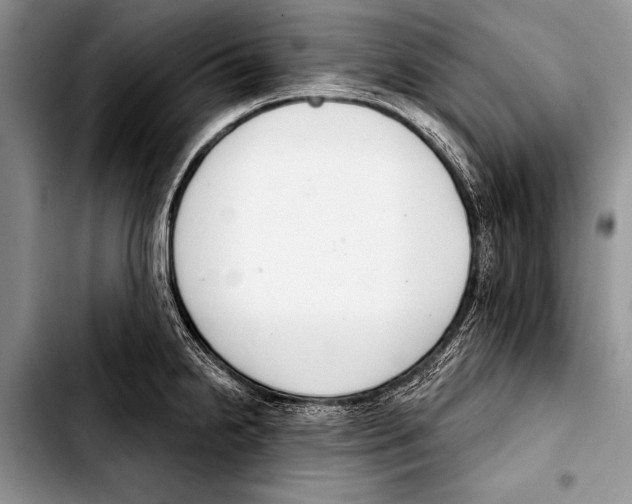 X0000103401238200810100926