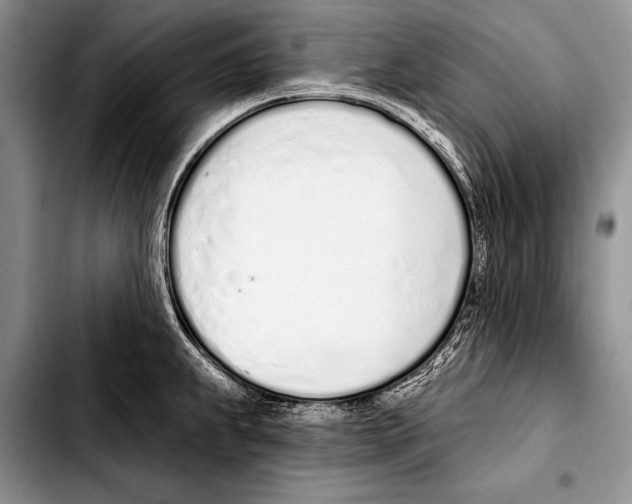 X0000103401239200810100926