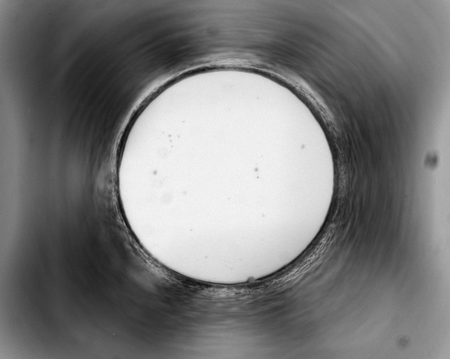 X0000103401240200810100926