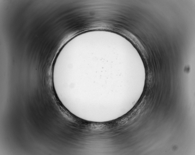 X0000103401242200810100926