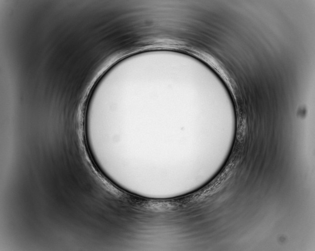 X0000103401243200810100926