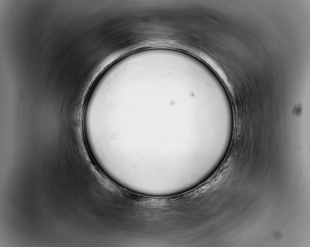 X0000103401245200810100926