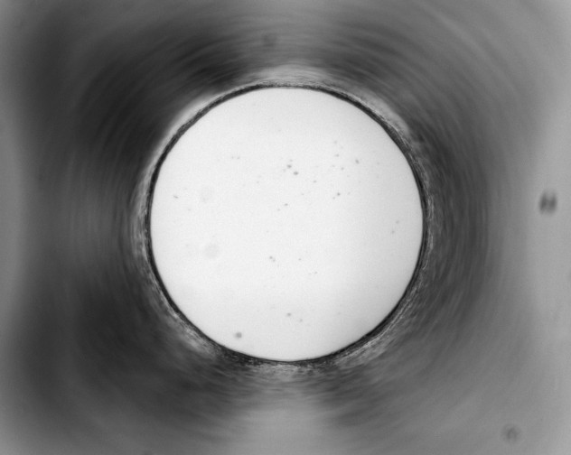 X0000103401248200810100926