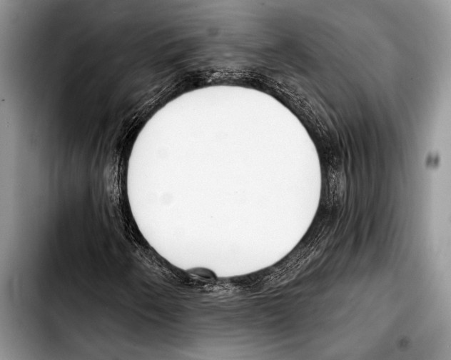 X0000103401250200810100926