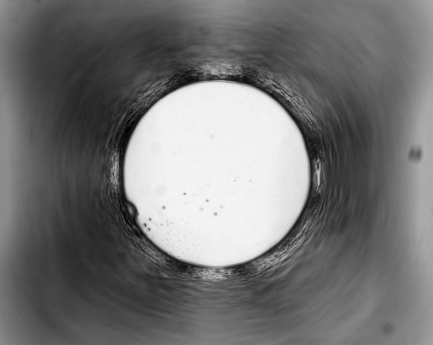 X0000103401251200810100926