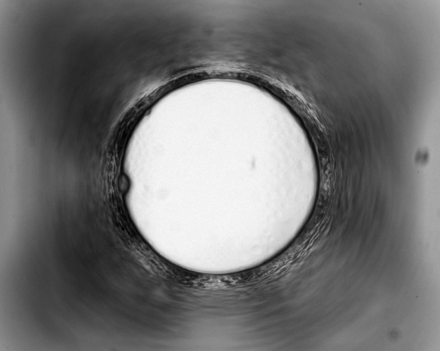 X0000103401255200810100926