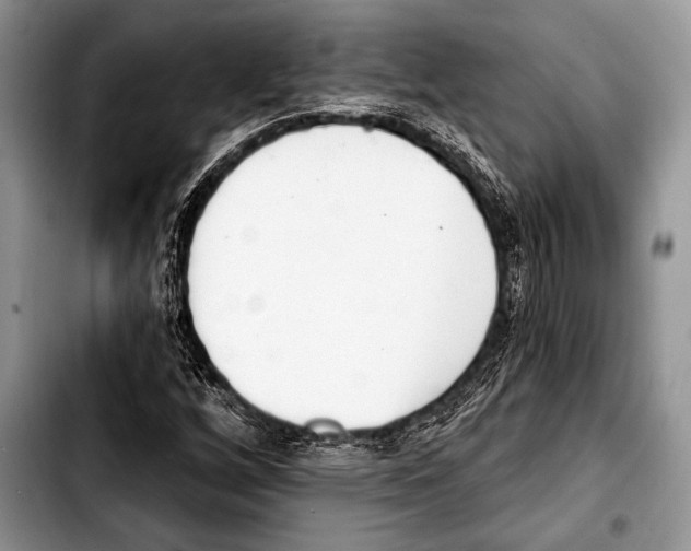 X0000103401256200810100926