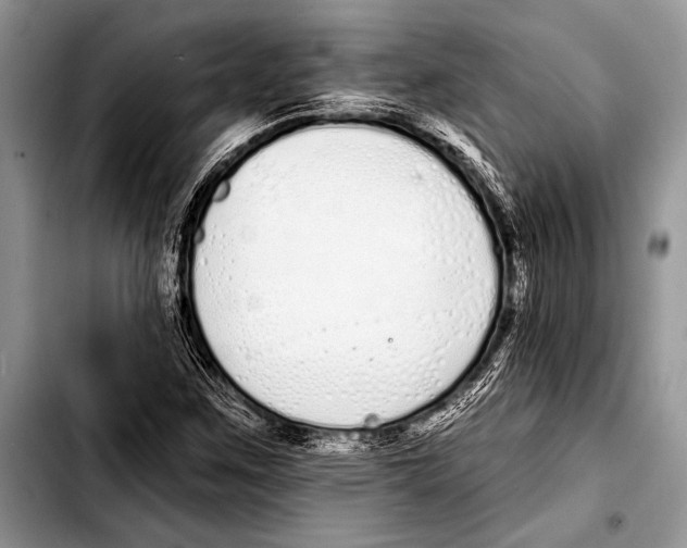 X0000103401259200810100926