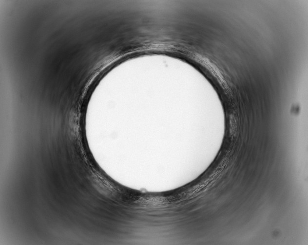 X0000103401260200810100926