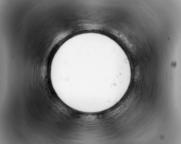 X0000103401261200810100926