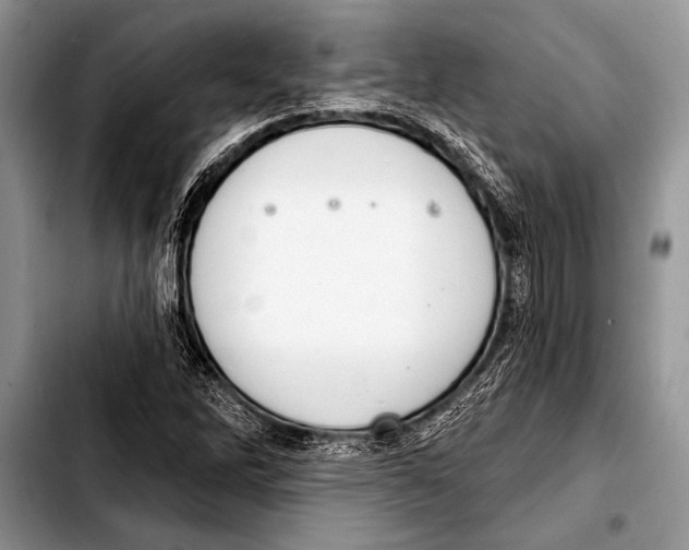 X0000103401262200810100925