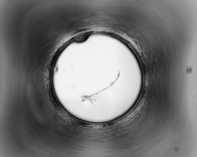 X0000103401263200810100925