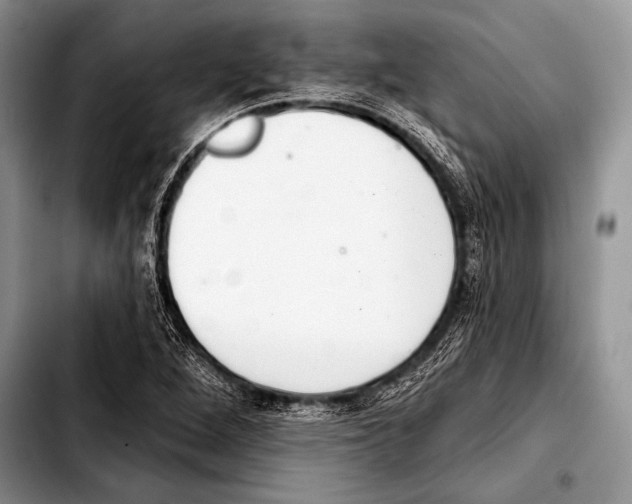 X0000103401264200810100925