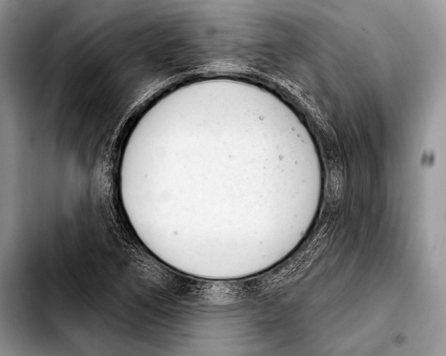 X0000103401266200810100925