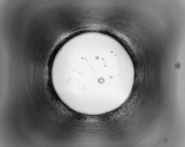 X0000103401267200810100925