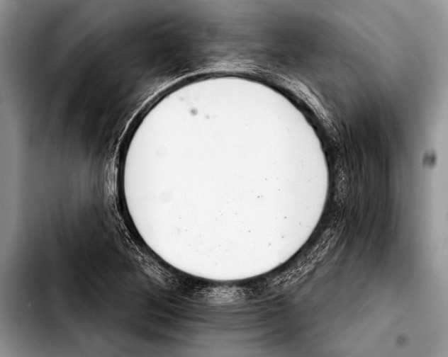 X0000103401268200810100925