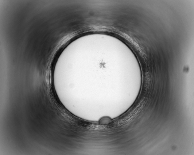 X0000103401269200810100925