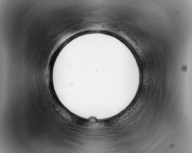 X0000103401270200810100925