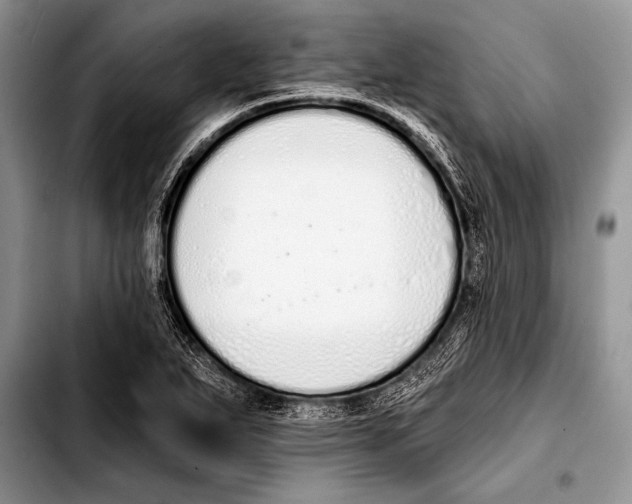 X0000103401271200810100925