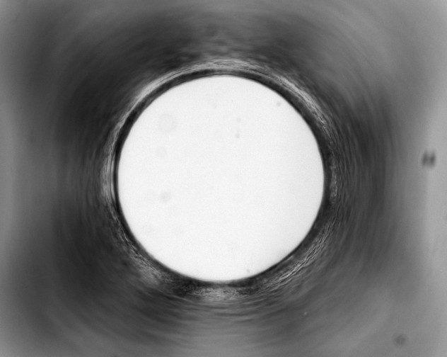 X0000103401272200810100925