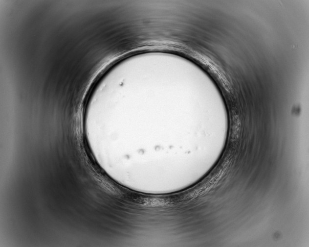 X0000103401275200810100925