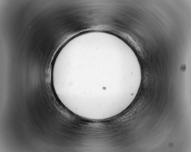 X0000103401276200810100925