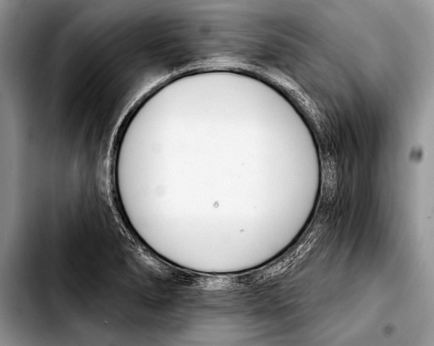 X0000103401278200810100925