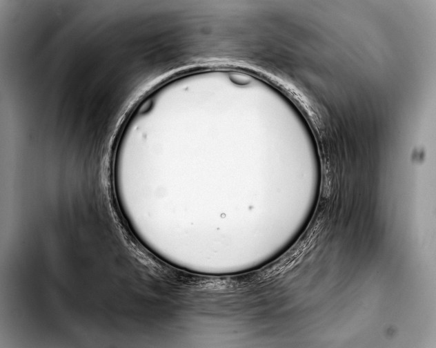 X0000103401279200810100925