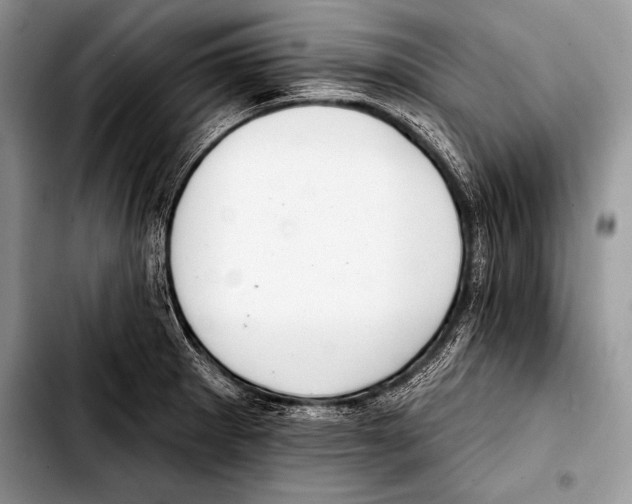 X0000103401281200810100925