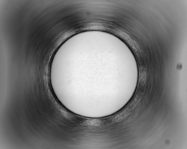 X0000103401282200810100925