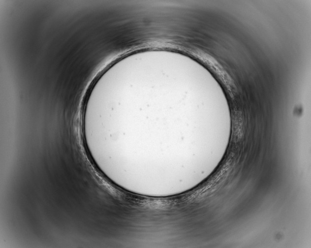 X0000103401286200810100925