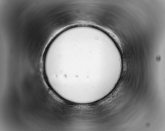 X0000103401287200810100925