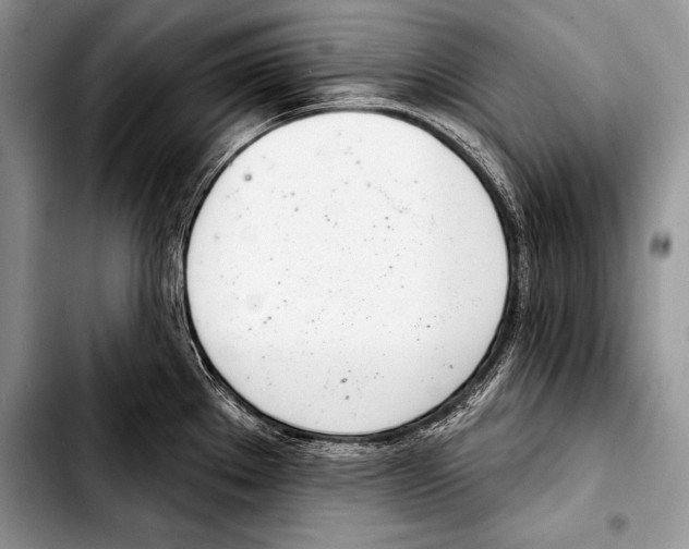 X0000103401289200810100925